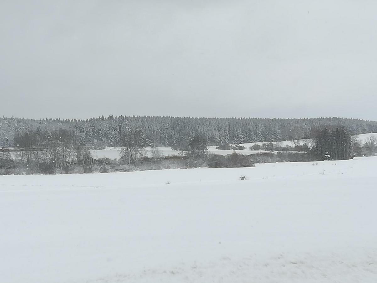 Ferienwohnung Hasenfratz Löffingen Esterno foto